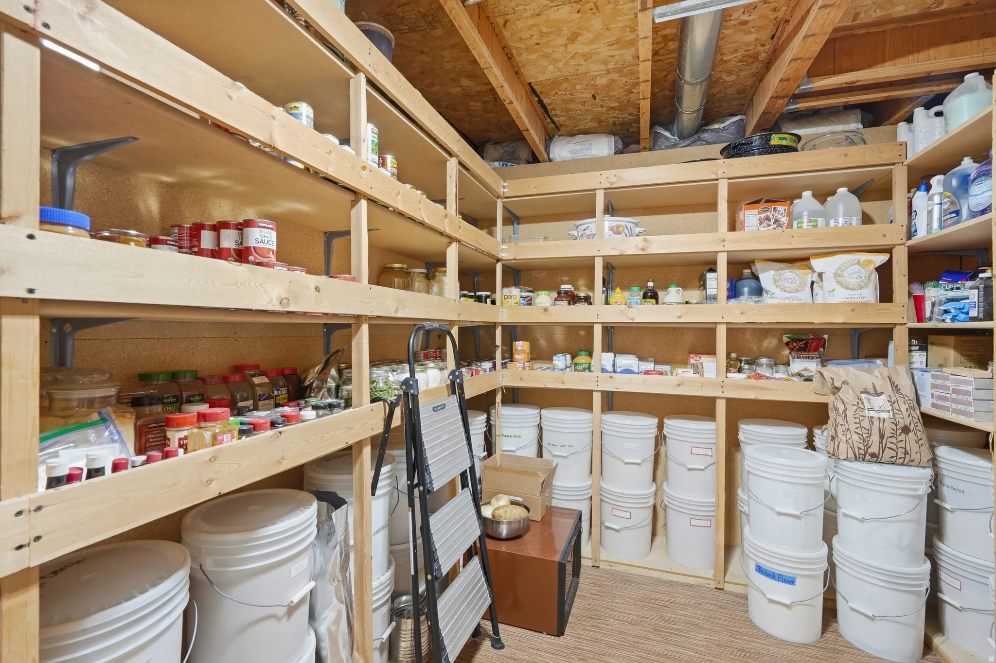 Dedicated storage room featuring extensive wood shelving, exposed ceiling joists, and a low-pile carpeted floor