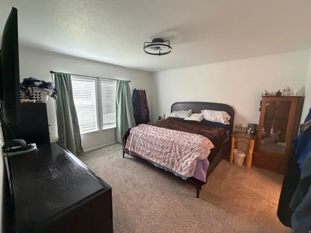 Bedroom featuring dual windows with blinds, wall-to-wall carpeting, and a flush-mount ceiling light fixture