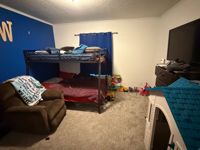 Carpeted interior room with a partially blue accent wall and white crown molding