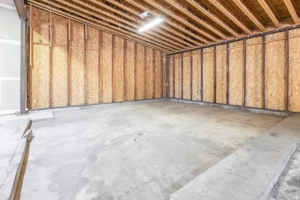 Unfinished interior space featuring exposed wood-finish wall sheathing and ceiling joists, concrete flooring, and a fluorescent light fixture