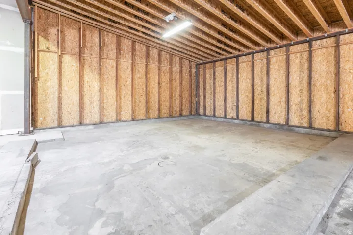 Unfinished interior space featuring exposed wood-finish wall sheathing and ceiling joists, concrete flooring, and a fluorescent light fixture