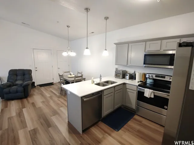 Contemporary kitchen with light gray cabinetry, stainless steel appliances, white countertops, and wood-finish flooring