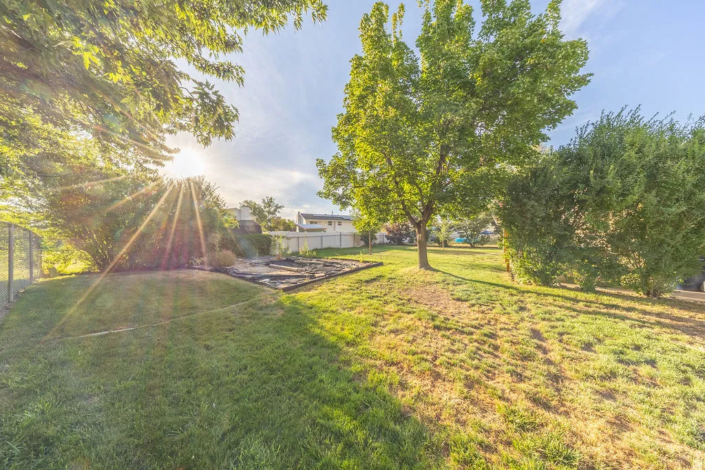 Expansive backyard featuring mature trees, established shrubs, a chain-link fence, and a defined garden bed