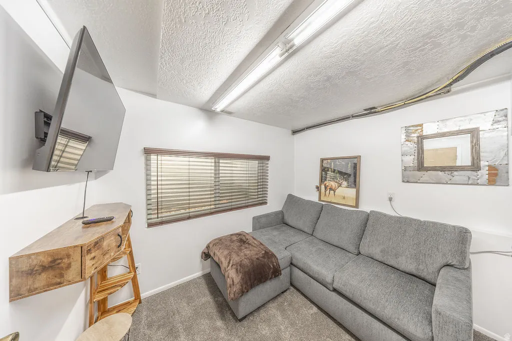 Carpeted living area featuring a single window with blinds, overhead fluorescent lighting, and a wall-mounted display