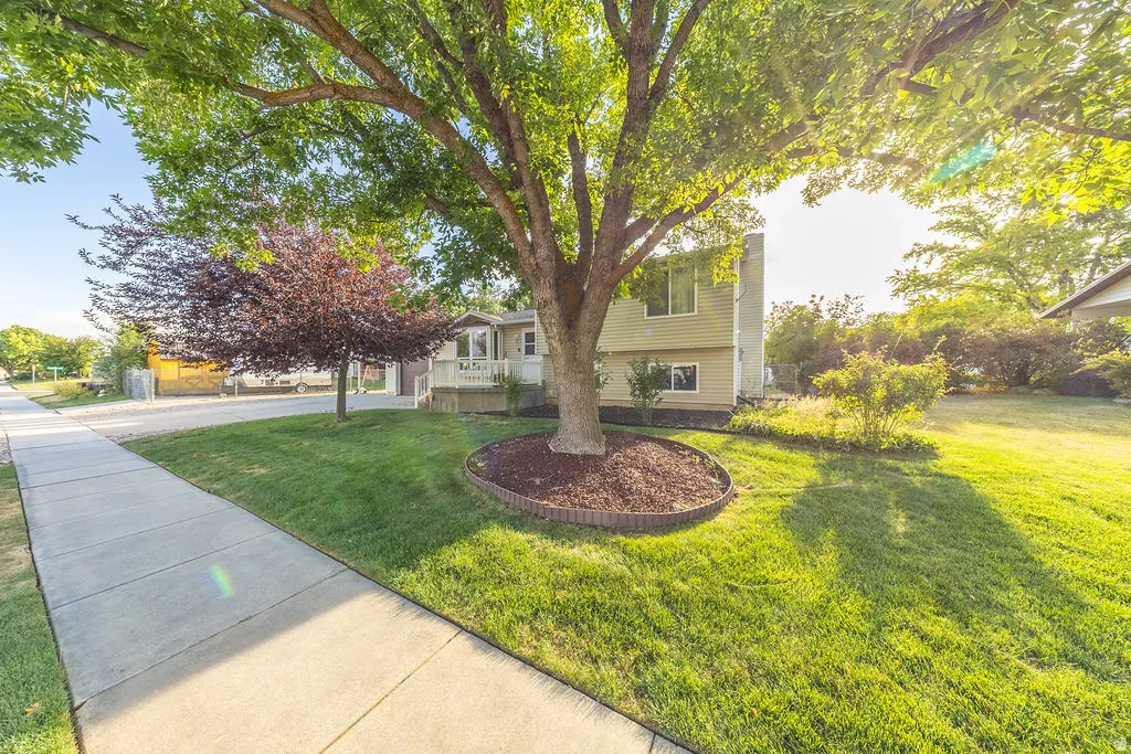 Spacious front yard featuring mature shade trees, a concrete sidewalk, and established landscaping