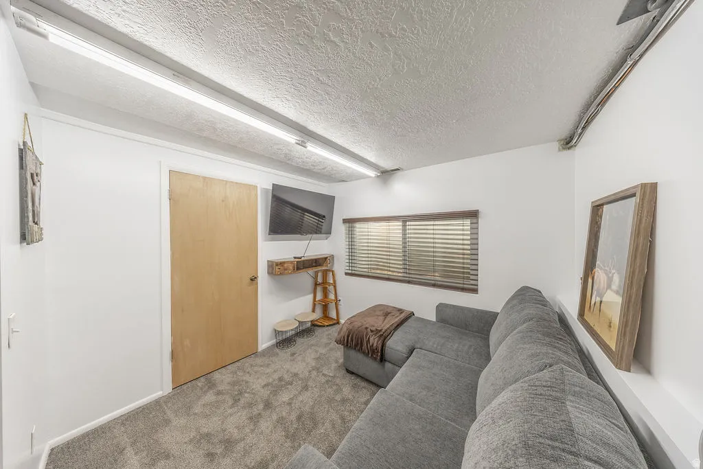 Carpeted room featuring a light wood-finish door, a window with horizontal blinds, built-in wall shelving, and overhead fluorescent lighting