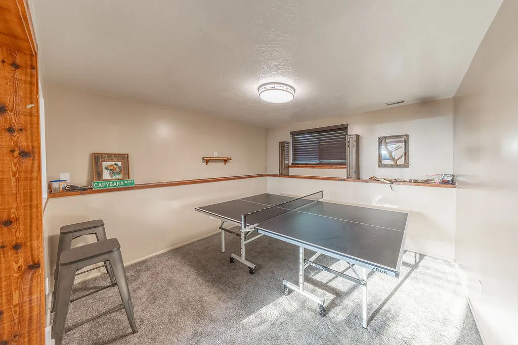 Carpeted recreation room with a built-in wood ledge