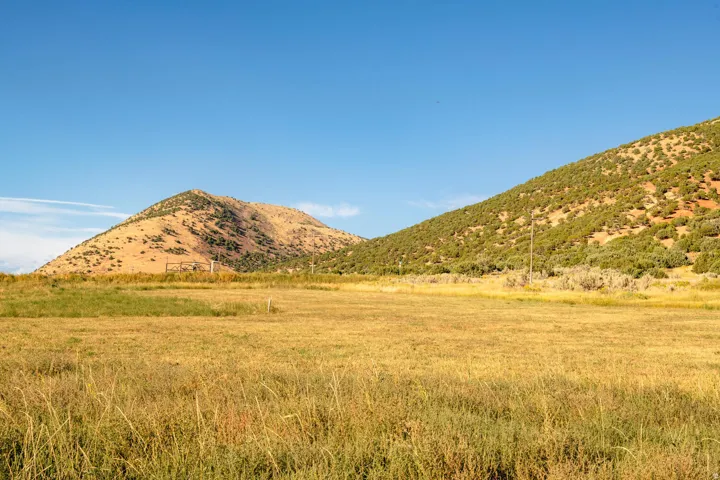 Expansive open terrain featuring natural grasses and distant mountains