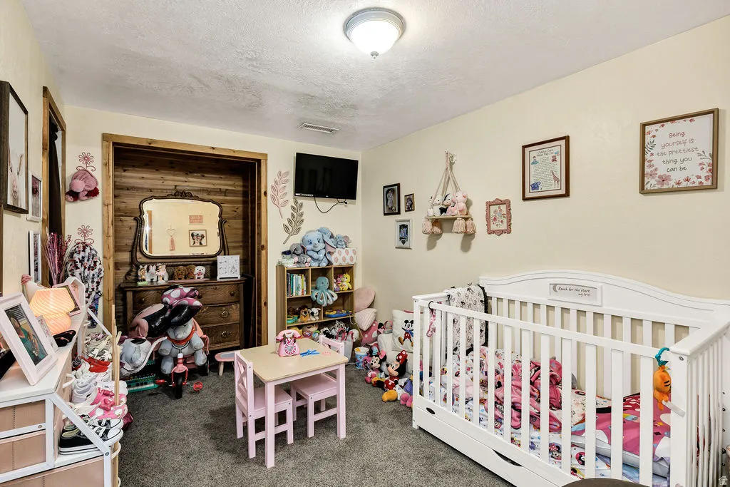 Carpeted room featuring a ceiling-mounted light fixture and light-toned walls