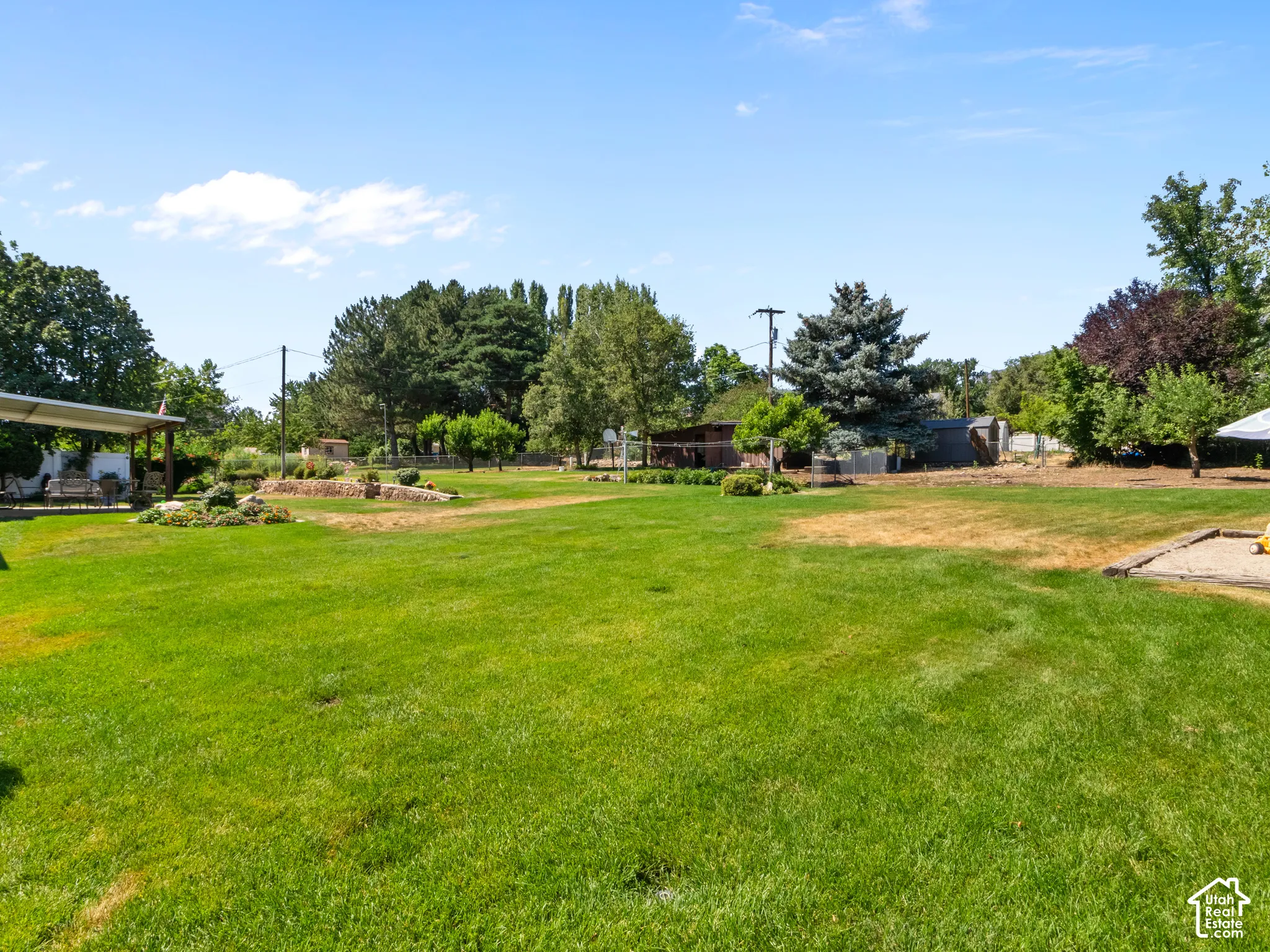 Expansive backyard featuring a large grass lawn, mature trees, and landscaping elements
