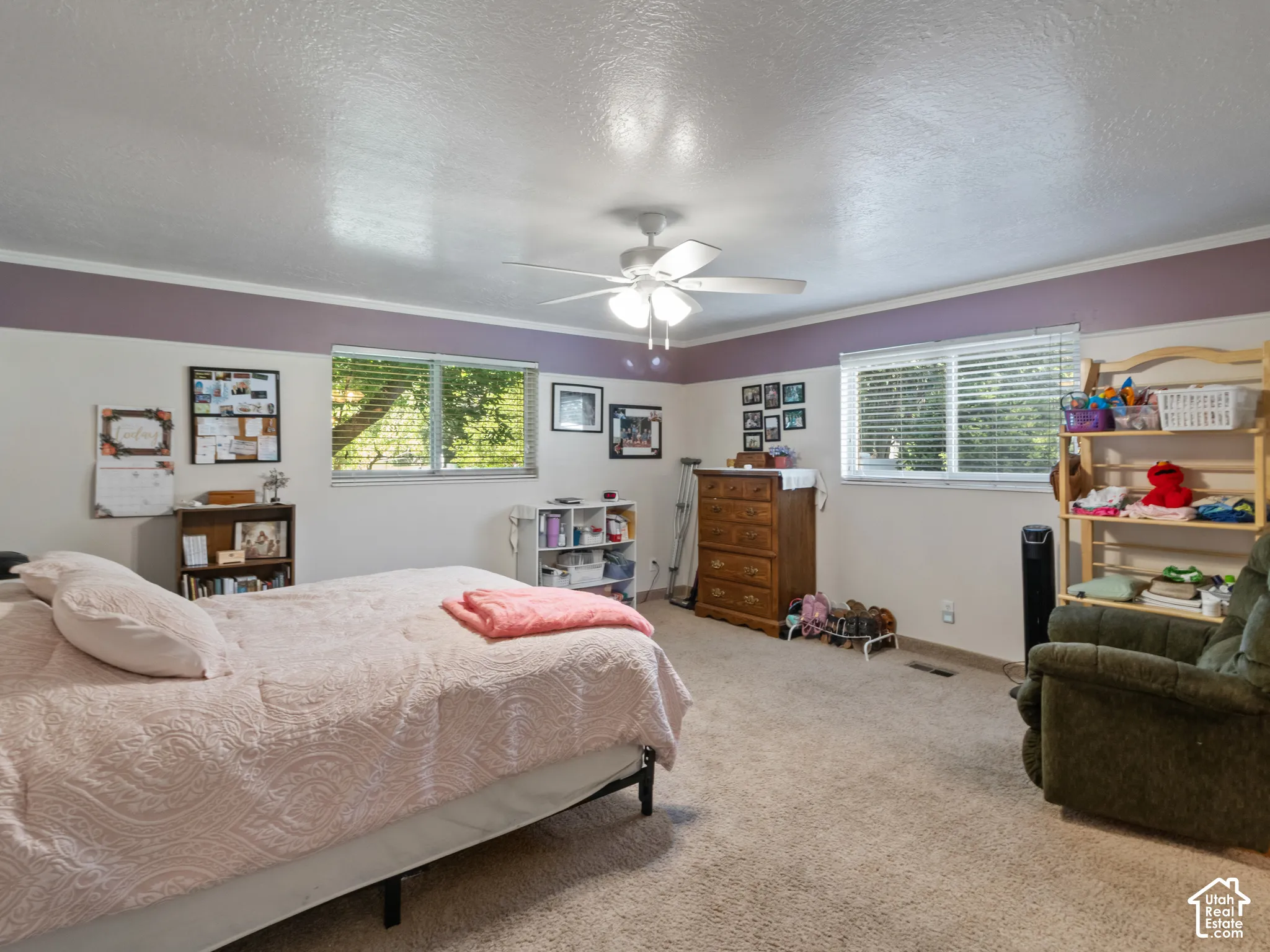 Carpeted room featuring a ceiling fan, two windows with blinds, and white trim with a purple accent wall