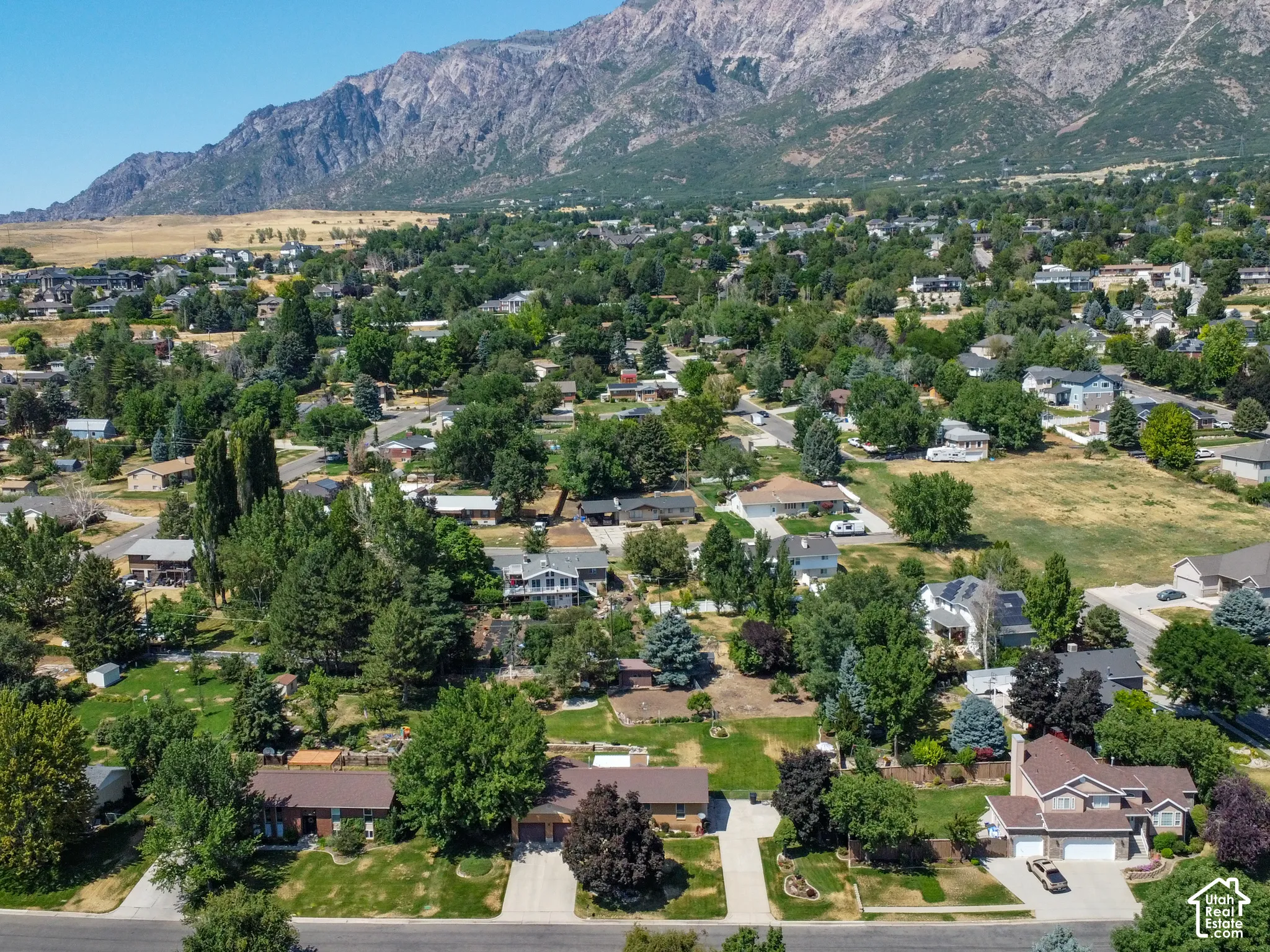 Aerial perspective showcasing a residential area with mature trees and mountain backdrop
