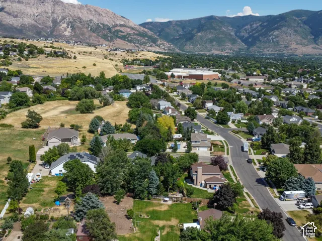 Residential area featuring paved streets, mature trees, and a distant mountain range