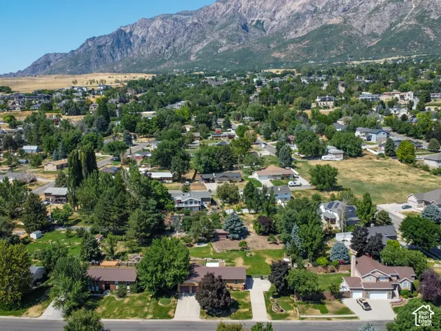 Aerial perspective showcasing a residential area with mature trees and mountain backdrop