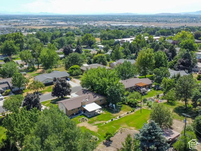 Suburban neighborhood featuring mature trees and established residential properties
