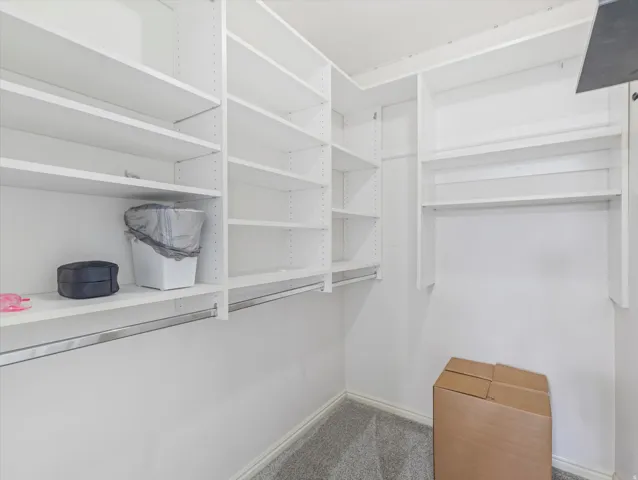 Walk-in closet featuring built-in white shelving, hanging rods, and gray carpeting