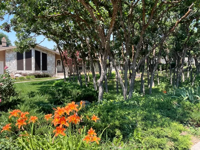 Manicured front yard with mature trees and vibrant orange daylilies