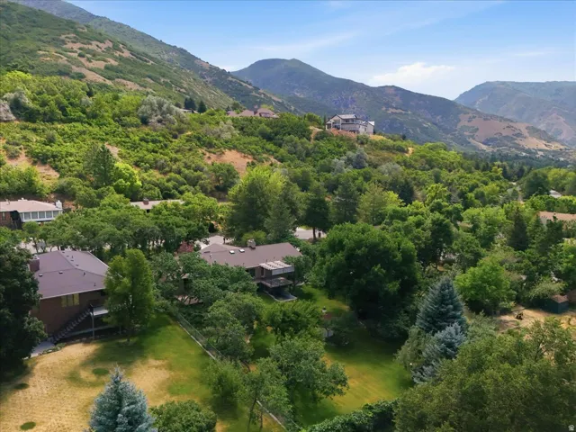 Expansive mountain landscape with diverse tree coverage