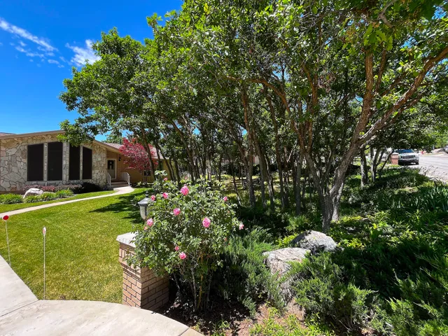 Landscaped front yard featuring mature trees and shrubs