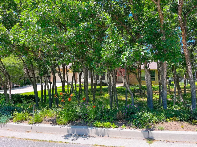 Mature trees framing a partially visible residence