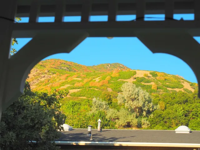 Framed mountain landscape featuring diverse foliage and a clear sky, with a dark-shingled roof in the foreground