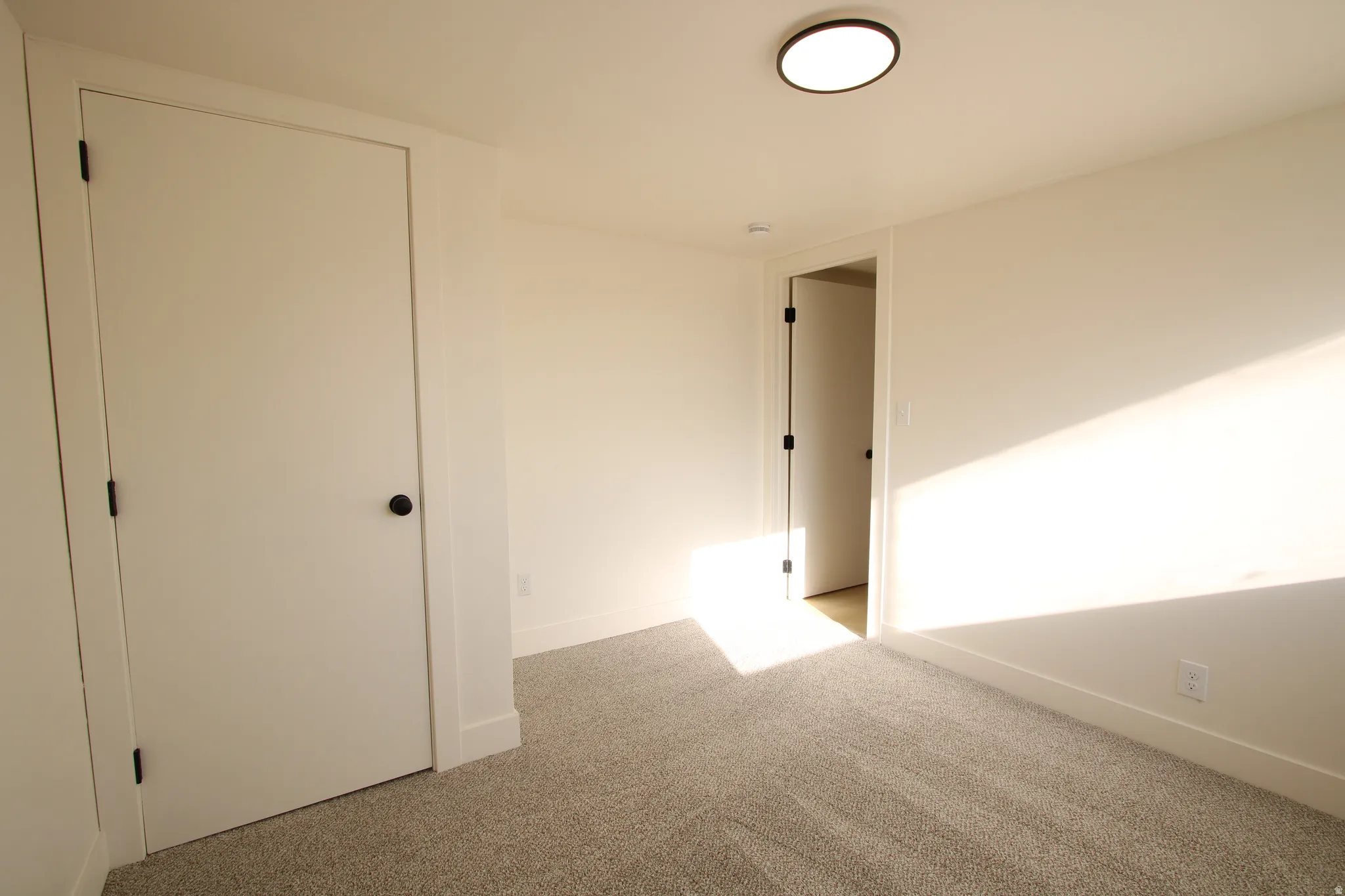 Neutral tone wall finishes, gray carpet flooring, white baseboards, and a contemporary flush-mount ceiling light