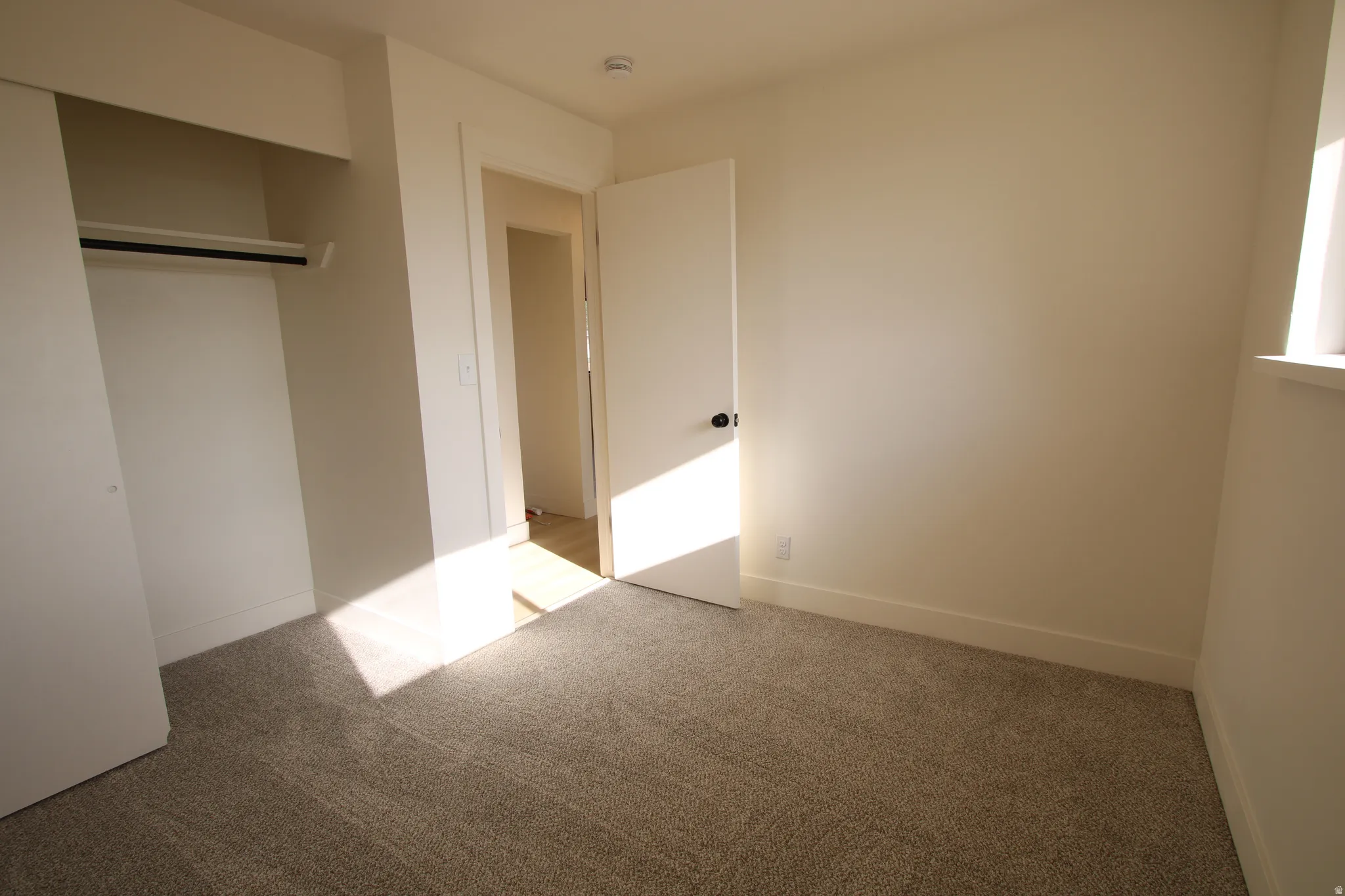 Carpeted room featuring a built-in closet with a hanging rod, a white door with a black knob, and light neutral wall paint