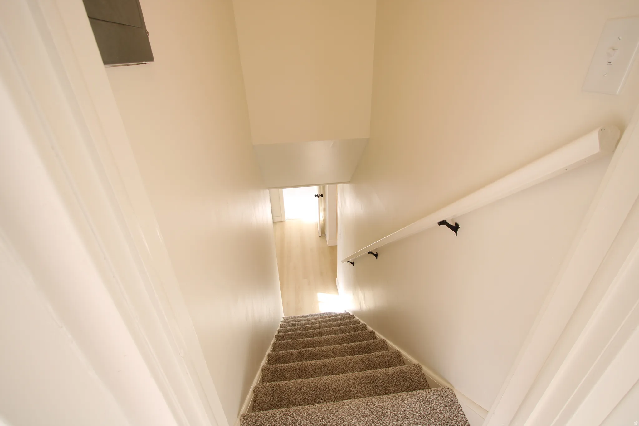 Carpeted staircase with a white handrail and light-toned walls