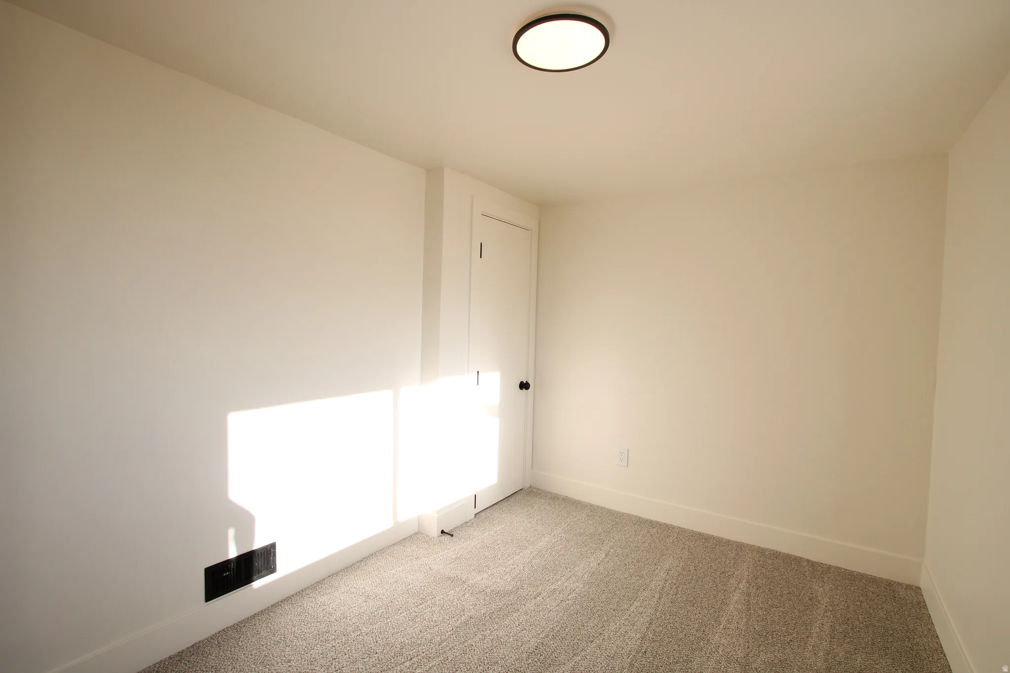Bright room with light-colored walls and grey carpet flooring