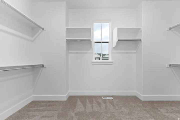 Walk-in closet featuring built-in shelving, chrome hanging rods, a double-hung window, white trim, and neutral carpet flooring