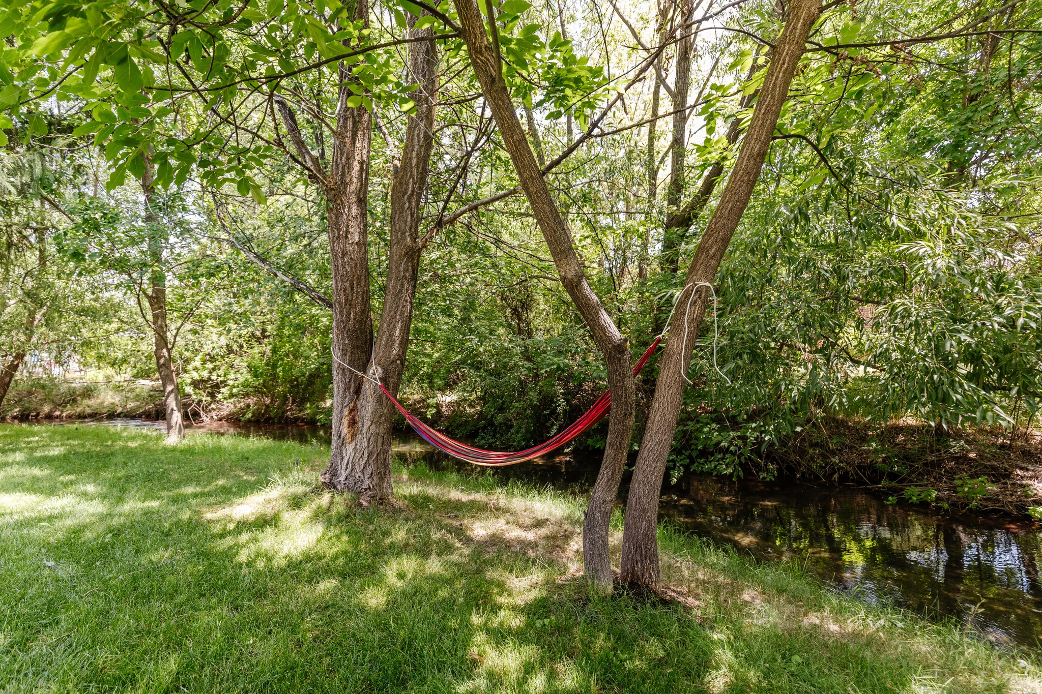 Mature trees providing ample shade over a manicured lawn