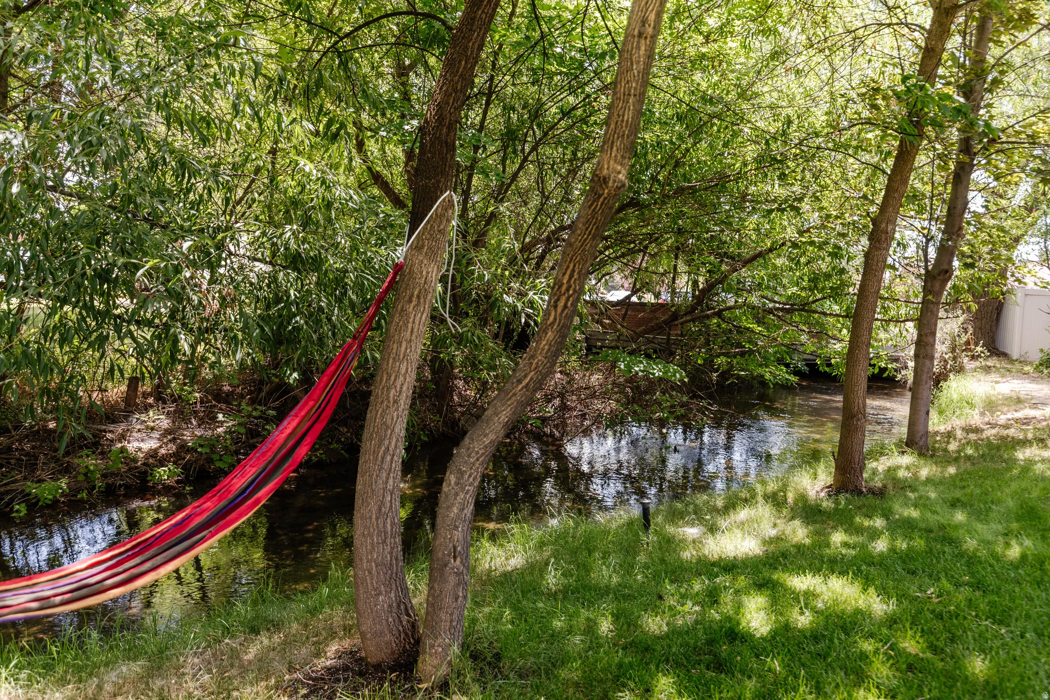 Lush green space featuring mature trees and a tranquil stream