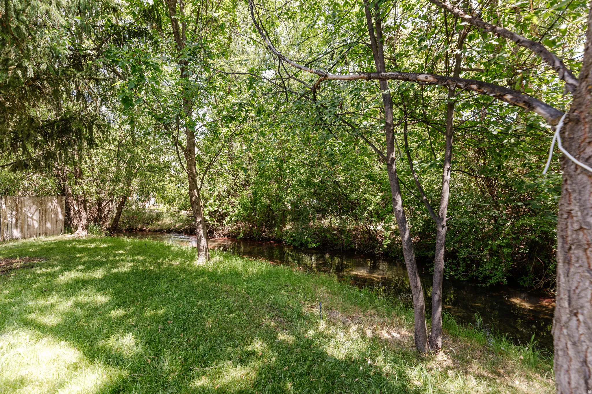 Grassed backyard featuring a natural water channel, mature trees, and a wood fence