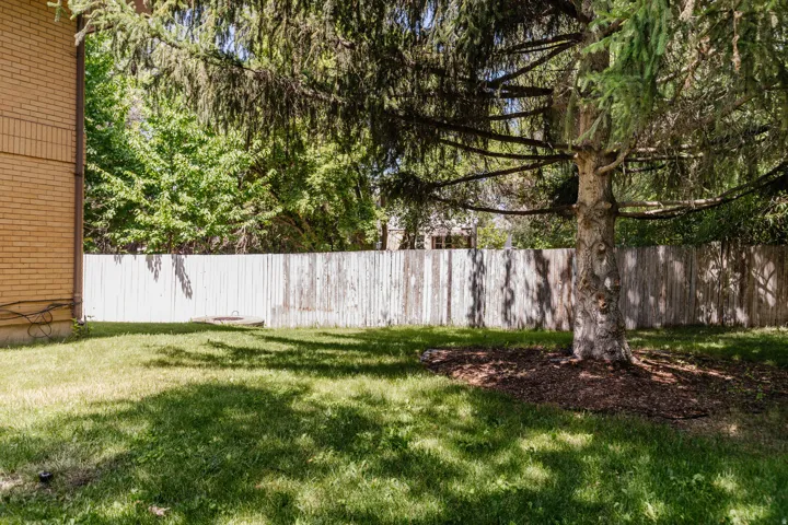 Expansive lawn area featuring a mature evergreen tree with mulched base, wood privacy fencing, and a brick exterior building wall