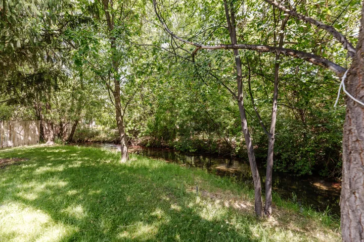 Grassed backyard featuring a natural water channel, mature trees, and a wood fence