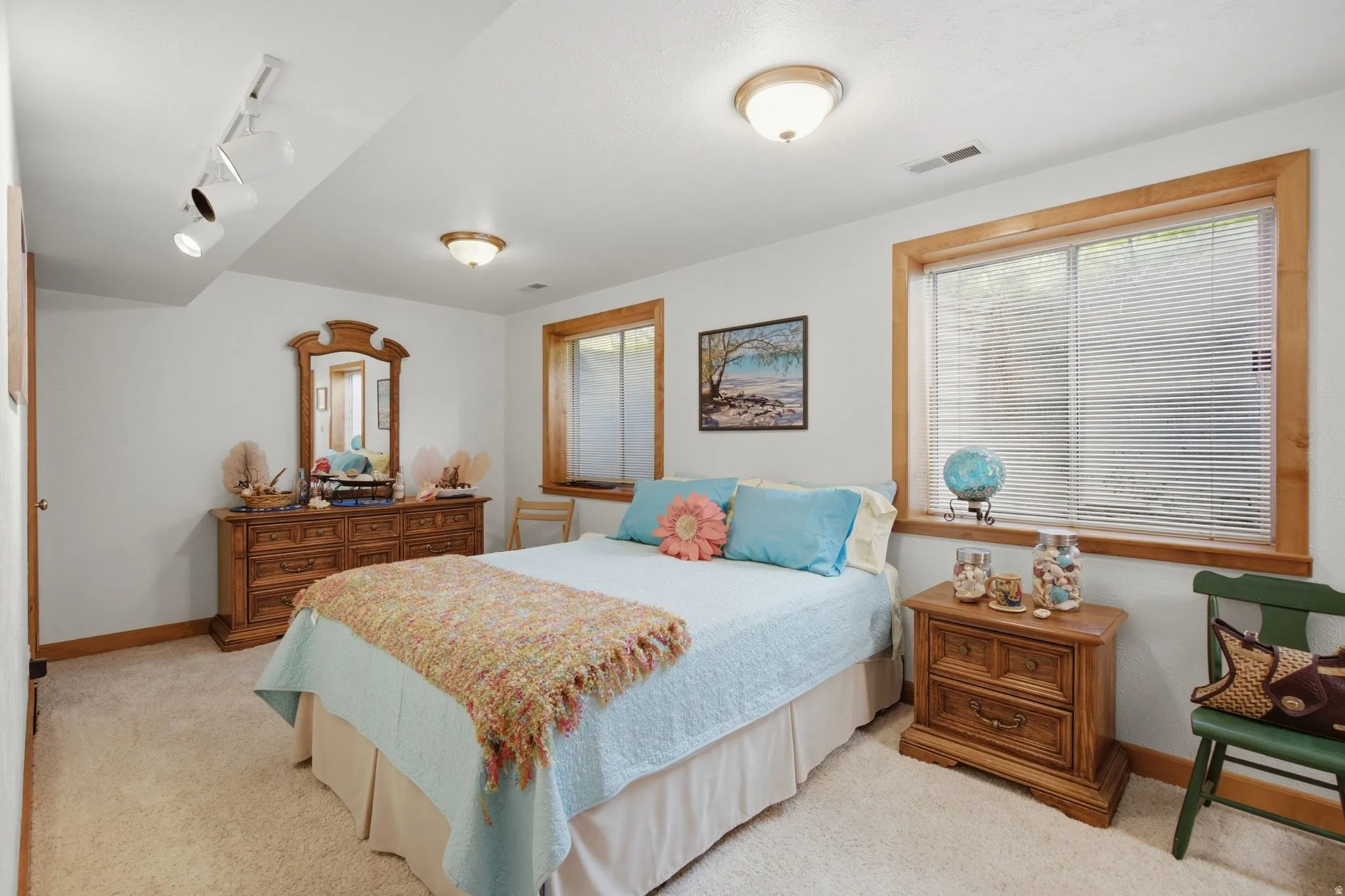 Carpeted room featuring a double window with wood trim, track lighting, and a flush mount ceiling light