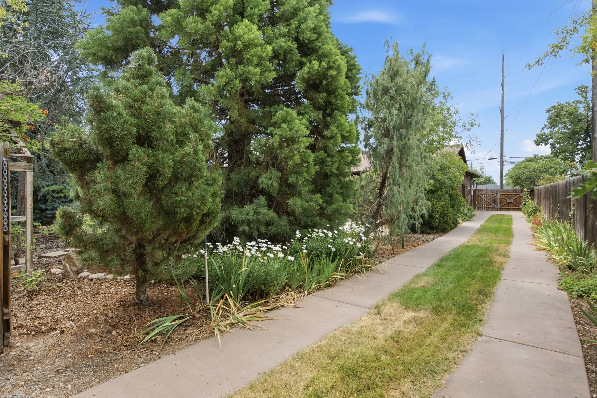 Concrete driveway with grass strip, bordered by mature trees and perennial plantings