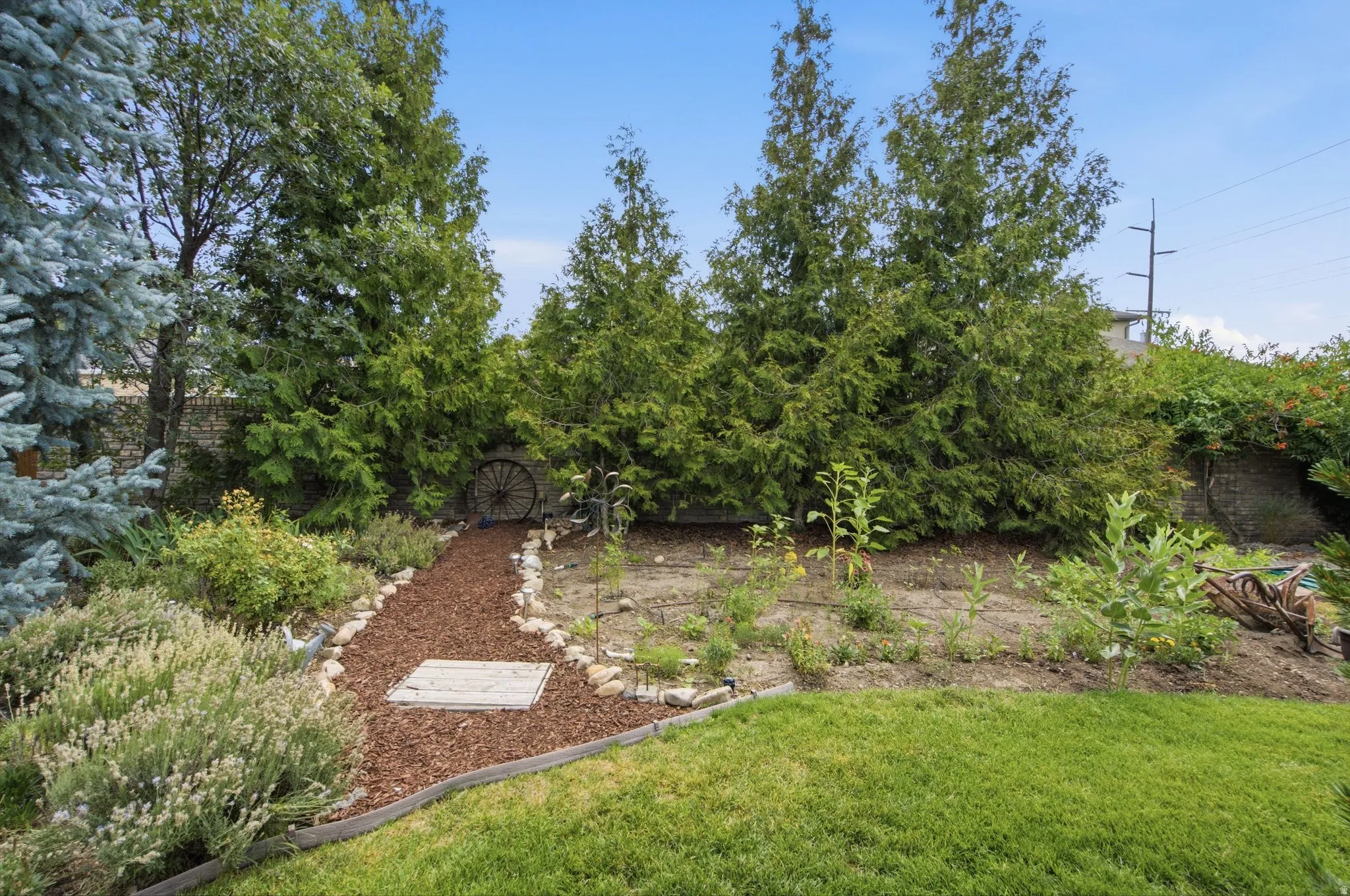 Landscaped backyard featuring a wood chip pathway, mature evergreen trees, and a decorative wagon wheel accent