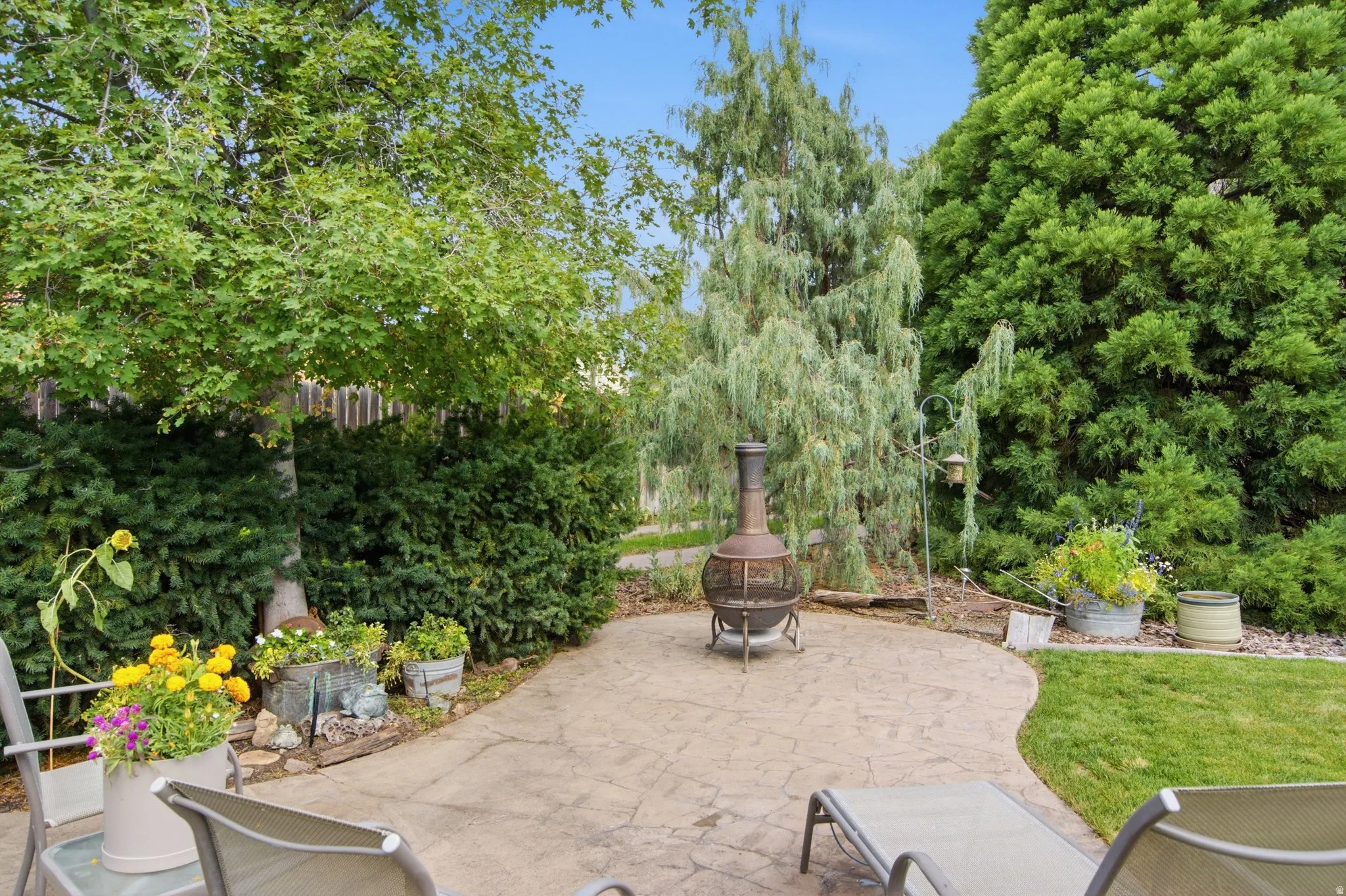 Stamped concrete patio with a curved edge, surrounded by mature trees and shrubs
