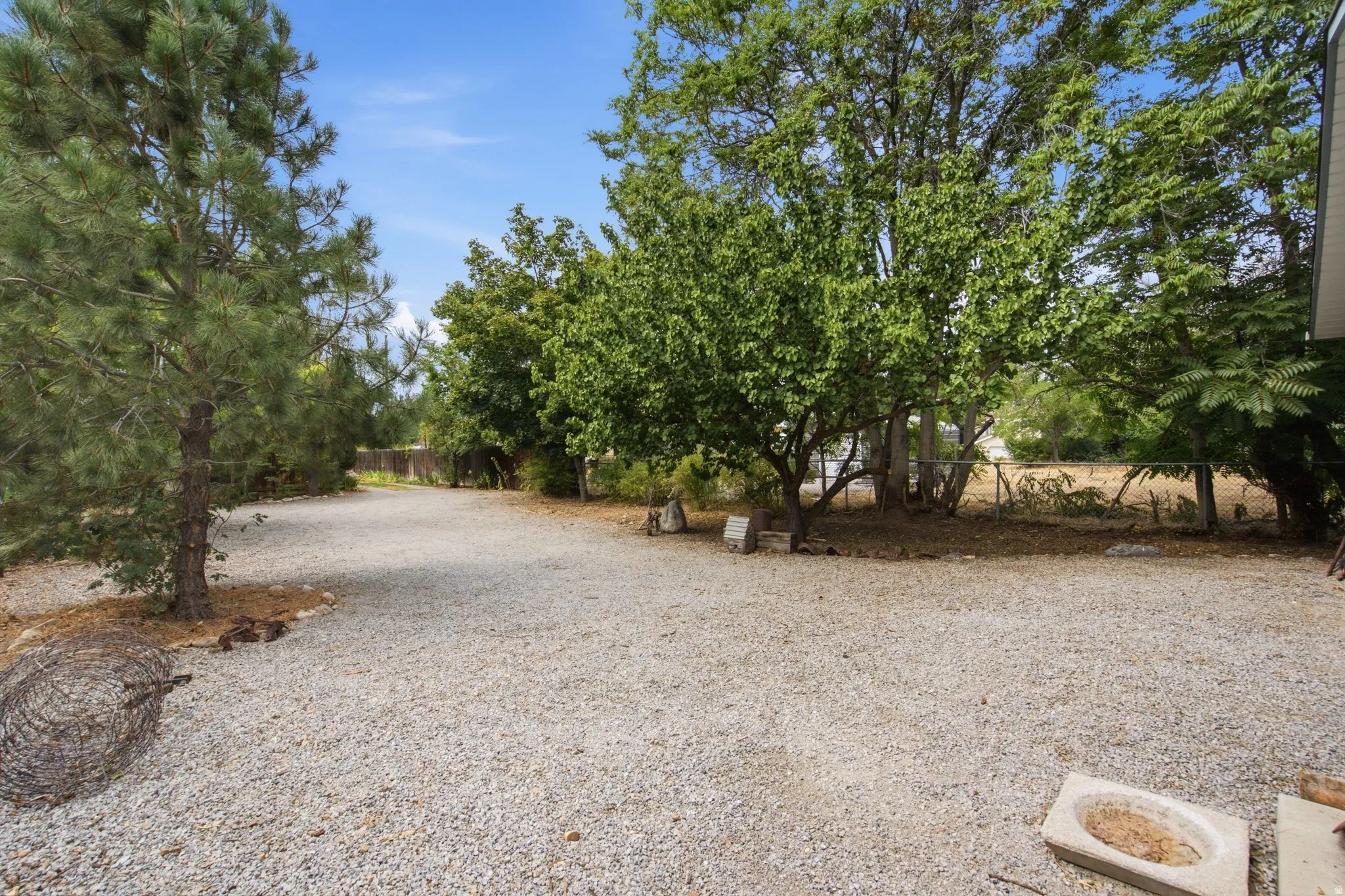 Gravel driveway with mature trees and a partial wire fence