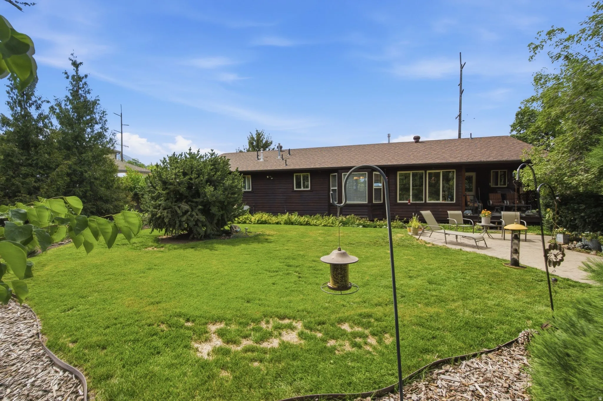 Spacious backyard featuring a large lawn, mature perimeter landscaping, and a concrete patio