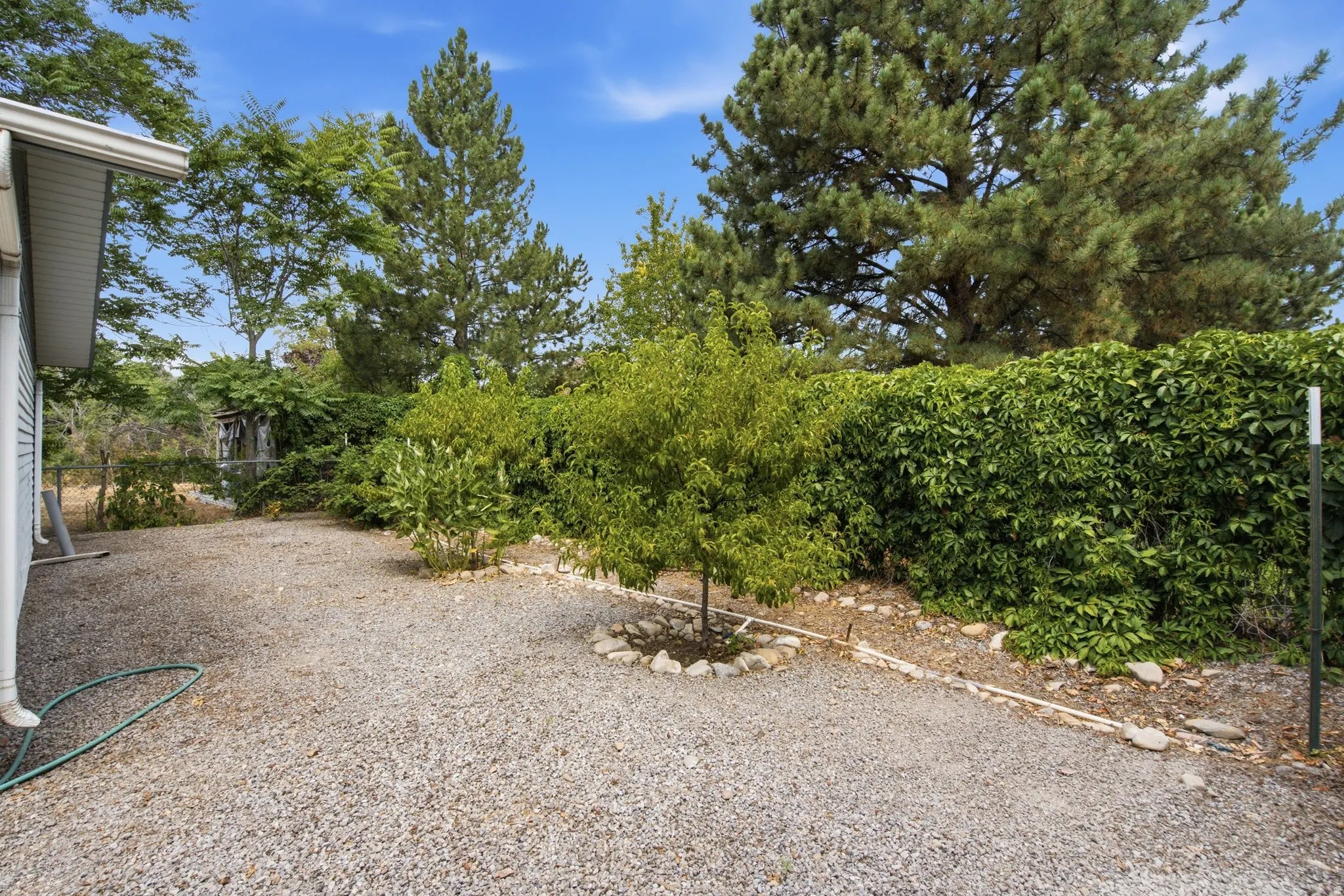 Expansive gravel yard featuring mature trees and established greenery
