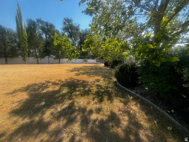 Expansive exterior grounds featuring a large, level lawn area, mature perimeter trees, established shrubbery, and a solid privacy fence