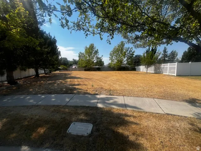 Expansive lot featuring a level, cleared area