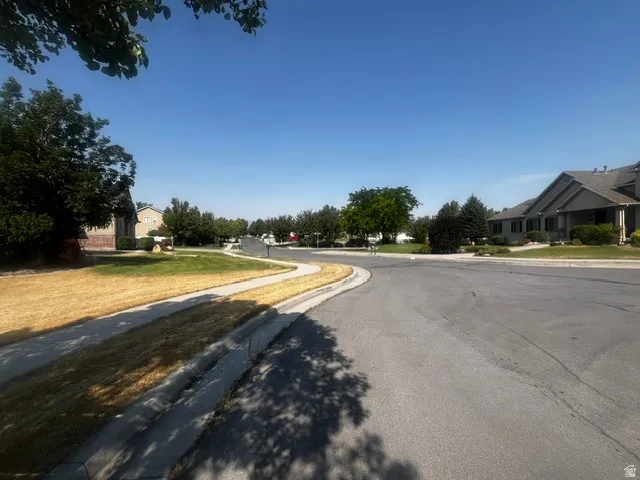Paved streetscape with concrete sidewalks and mature trees