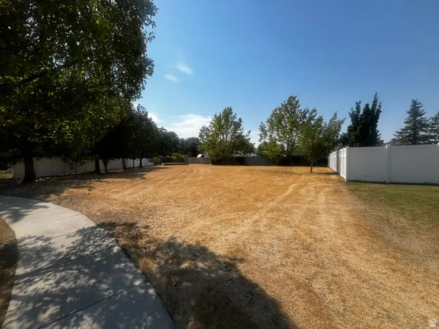 Expansive parcel featuring a concrete pathway, perimeter fencing, and mature trees