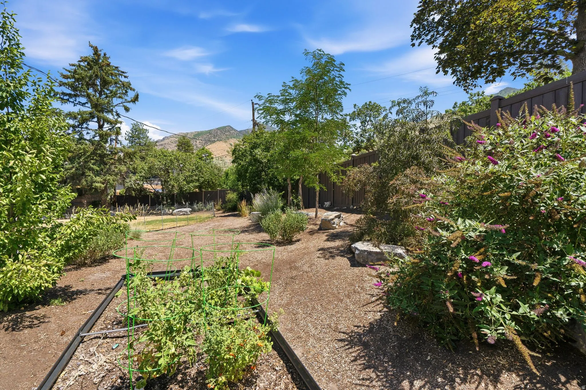 Side yard