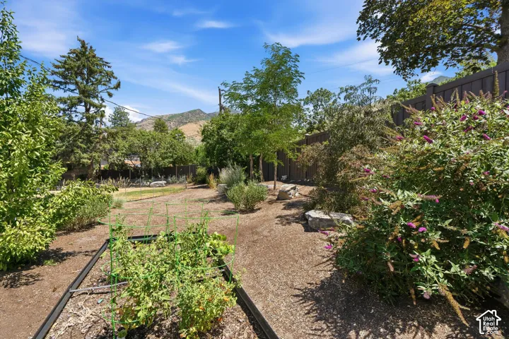 Side yard