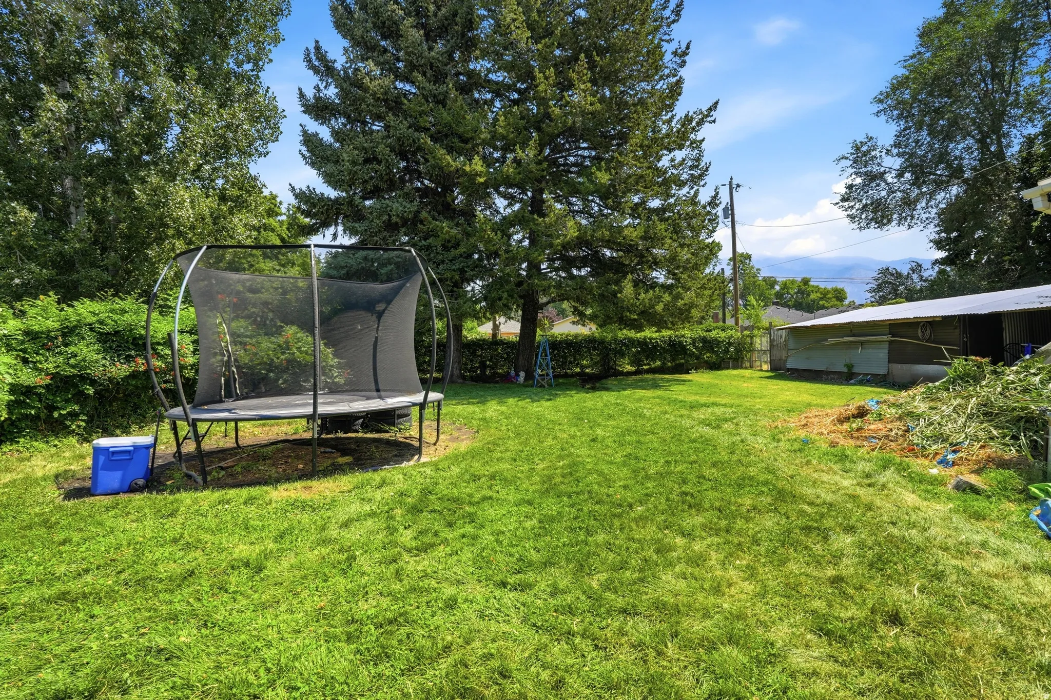 Expansive green lawn with mature trees and a distant mountain backdrop