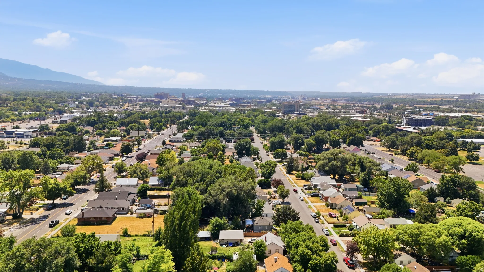 Aerial perspective showcasing an expansive residential area with abundant mature trees and a distant mountainous backdrop